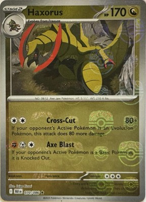 Haxorus (Master Ball Pattern)