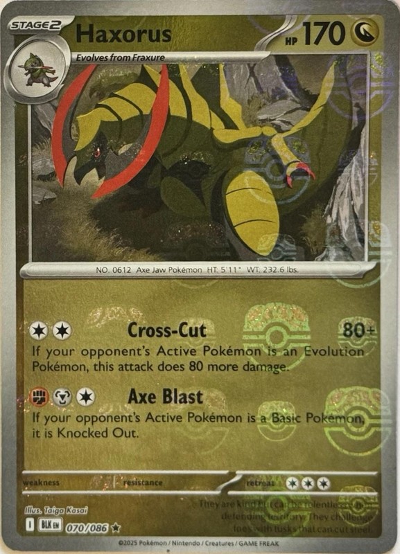 Haxorus (Master Ball Pattern) · SV: Black Bolt · #070/086 · Holofoil