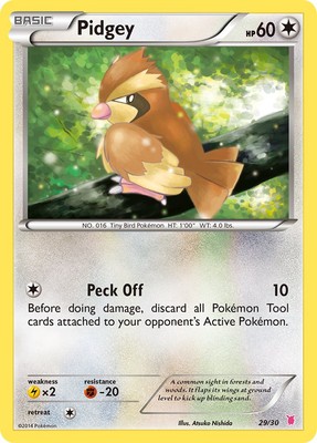 Pidgey (#29)